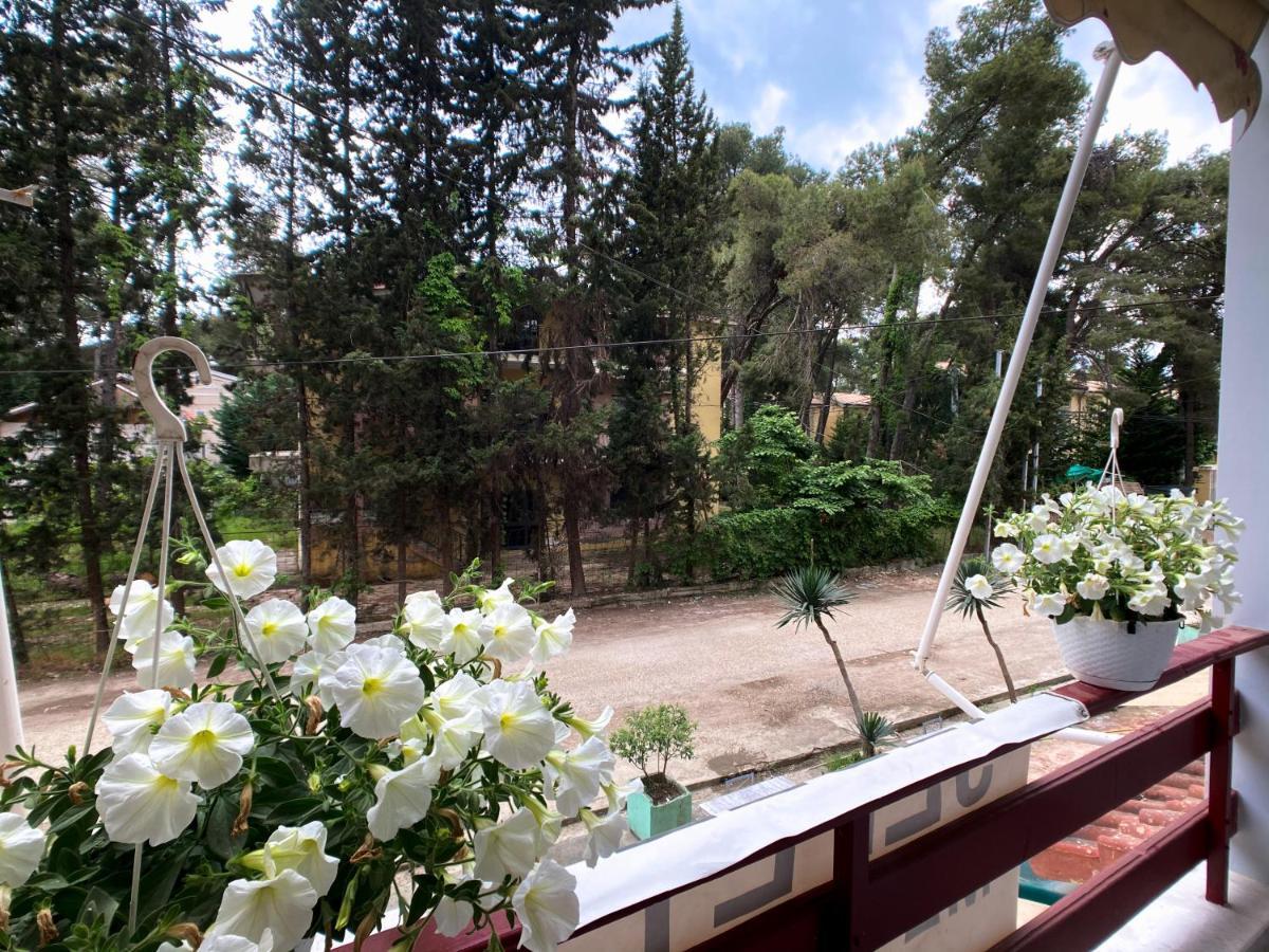 Promo Price September - Home By The Sea 1 Min From The Beach Голем Екстериор снимка