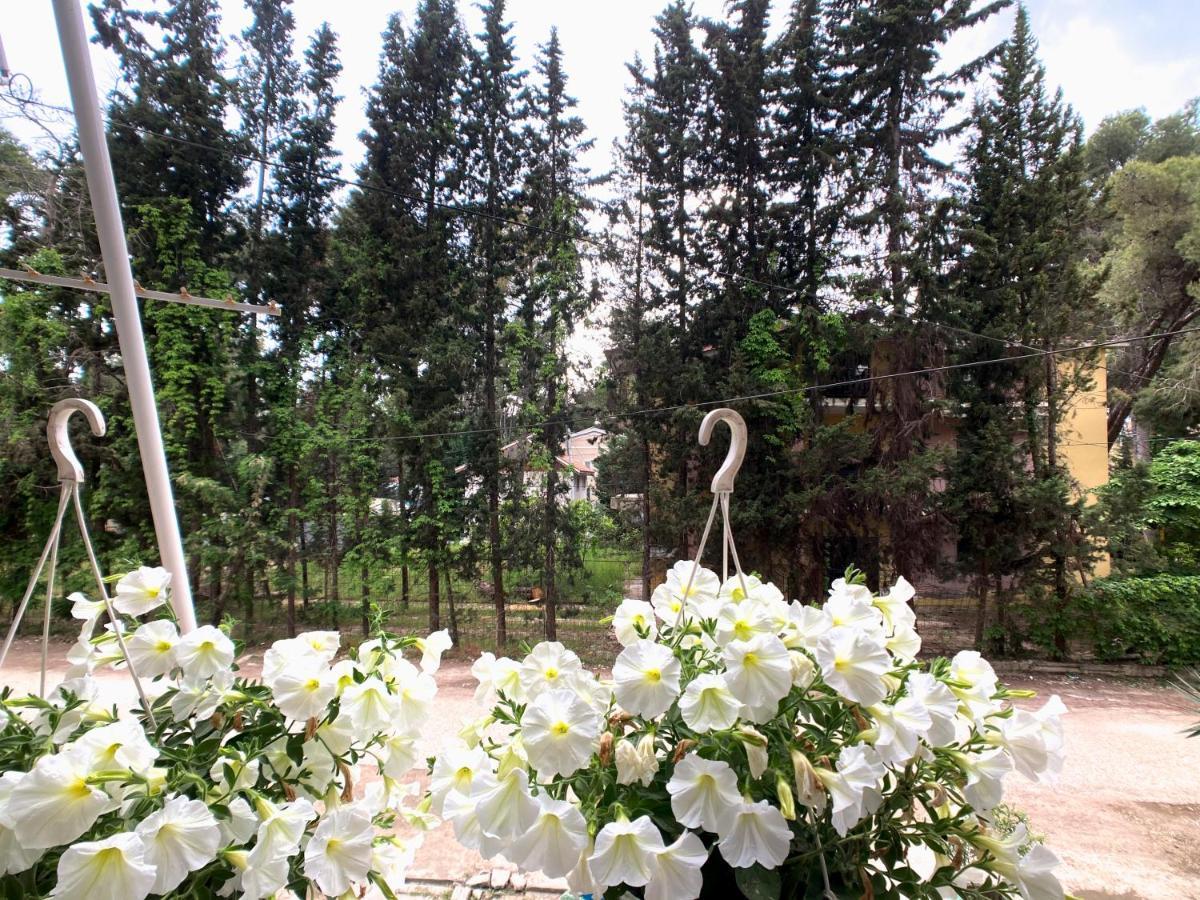 Promo Price September - Home By The Sea 1 Min From The Beach Голем Екстериор снимка